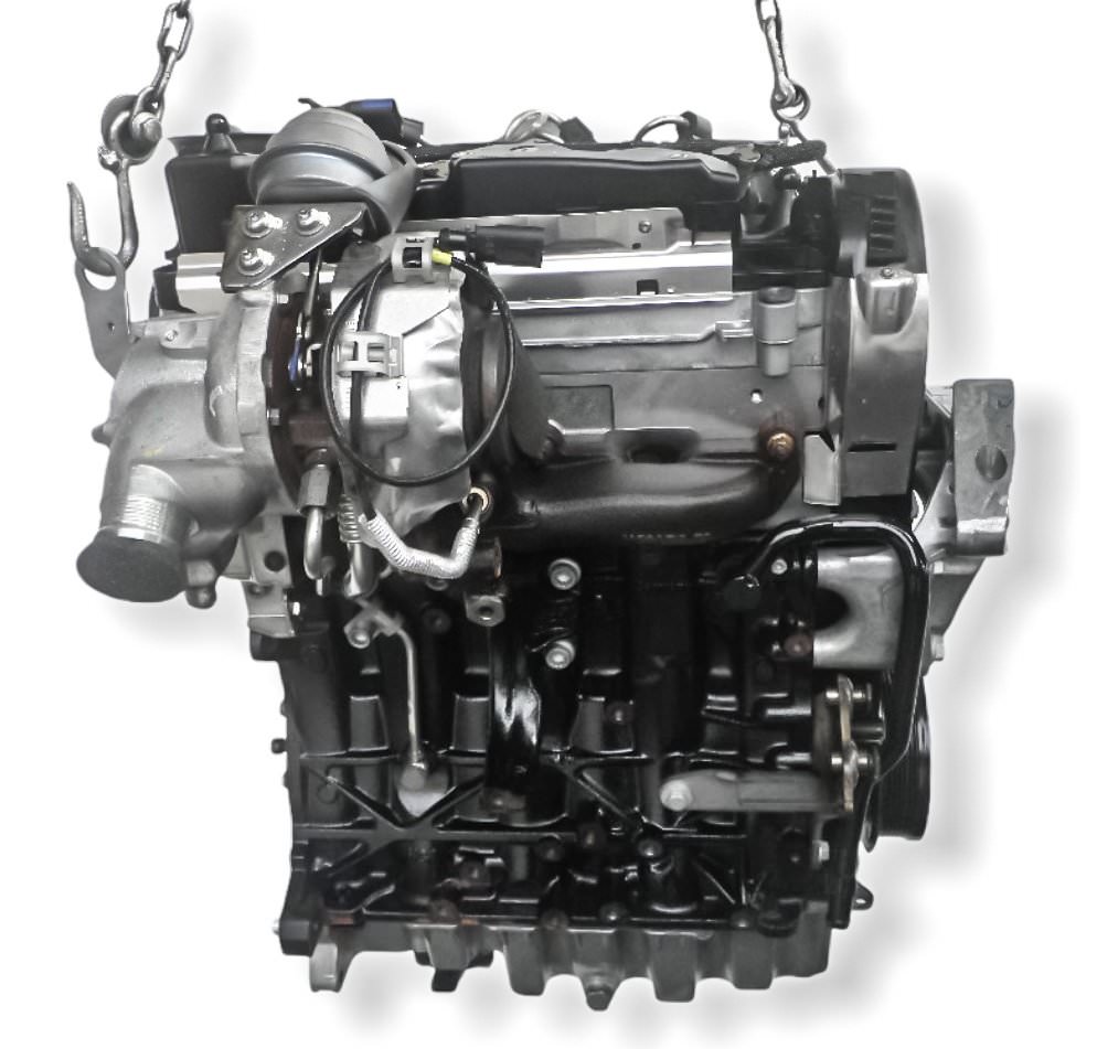 Motore usato DDY per Audi, Volkswagen, Skoda, Seat 1.6 d