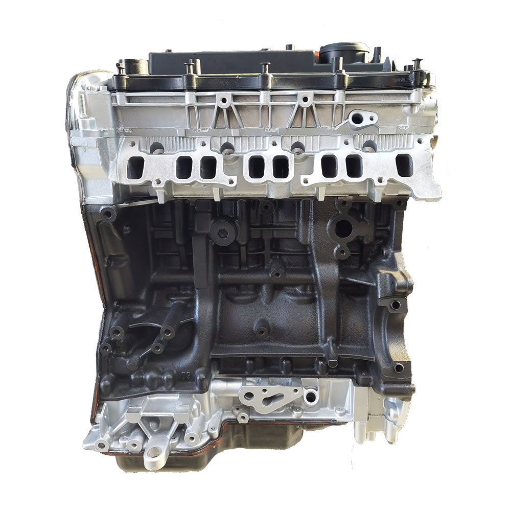 Motore rettificato SRFE per Fiat, Citroen 2.2 TD