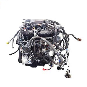 Motore 204DT per Land Rover, Range Rover Evoque 2.0 D