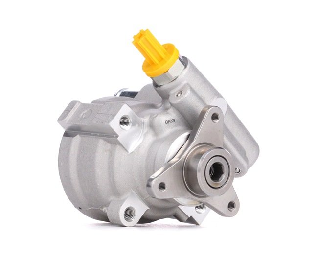 Pompa Sterzo Idraulica 491105514R  RENAULT,NISSAN